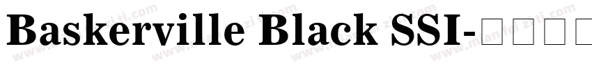 Baskerville Black SSI字体转换